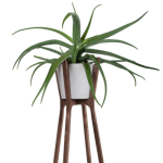 محصولات نگهداری گیاه - تصویر 2